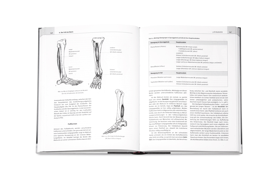 Gestaltung für de Henschel Verlag; Grafikstudio Scheffler; Berlin